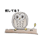 ボーっとフクロウのあいさつ（個別スタンプ：4）