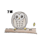 ボーっとフクロウのあいさつ（個別スタンプ：5）
