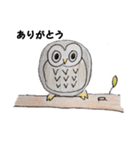 ボーっとフクロウのあいさつ（個別スタンプ：15）