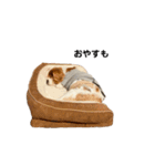 ろんもっとちっちこスタンプ（個別スタンプ：13）