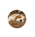 ろんもっとちっちこスタンプ（個別スタンプ：19）