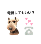 ウェルシュテリア ♡ジェリーさんの1日(12)（個別スタンプ：8）