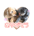 うちの子大優勝〈改②〉21.6.6（個別スタンプ：1）