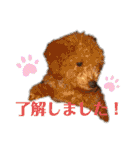 うちの子大優勝〈改②〉21.6.6（個別スタンプ：4）
