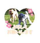 うちの子大優勝〈改②〉21.6.6（個別スタンプ：6）