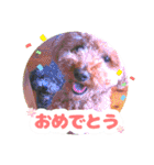 うちの子大優勝〈改②〉21.6.6（個別スタンプ：7）