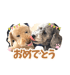 うちの子大優勝〈改②〉21.6.6（個別スタンプ：8）