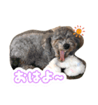 うちの子大優勝〈改②〉21.6.6（個別スタンプ：9）