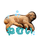 うちの子大優勝〈改②〉21.6.6（個別スタンプ：12）