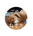 うちの子大優勝〈改②〉21.6.6（個別スタンプ：13）