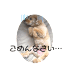 うちの子大優勝〈改②〉21.6.6（個別スタンプ：14）