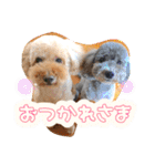うちの子大優勝〈改②〉21.6.6（個別スタンプ：25）