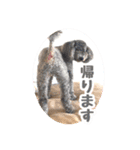 うちの子大優勝〈改②〉21.6.6（個別スタンプ：27）