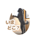 うちの子大優勝〈改②〉21.6.6（個別スタンプ：29）