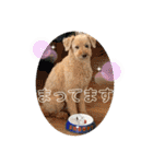 うちの子大優勝〈改②〉21.6.6（個別スタンプ：31）
