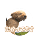うちの子大優勝〈改②〉21.6.6（個別スタンプ：33）