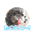 うちの子大優勝〈改②〉21.6.6（個別スタンプ：34）