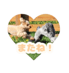 うちの子大優勝〈改②〉21.6.6（個別スタンプ：35）