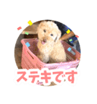 うちの子大優勝〈改②〉21.6.6（個別スタンプ：37）