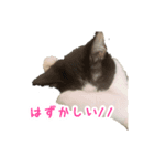 さすけの気持ち（個別スタンプ：6）
