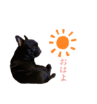 ネロ印（個別スタンプ：5）