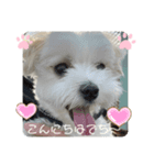 めりるの毎日②❤️（個別スタンプ：2）
