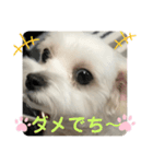 めりるでち❤️（個別スタンプ：2）
