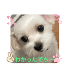 めりるでち❤️（個別スタンプ：3）