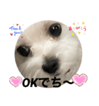 めりるでち❤️（個別スタンプ：5）