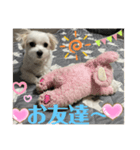 めりるでち❤️（個別スタンプ：6）
