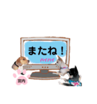 チャッピーチョコラッキーキョン（個別スタンプ：32）
