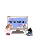チャッピーチョコラッキーキョン（個別スタンプ：34）