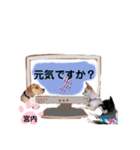 チャッピーチョコラッキーキョン（個別スタンプ：36）