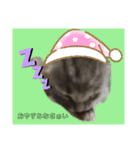 サムとやよいのまったりスタンプ（個別スタンプ：1）