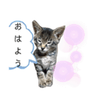 サムとやよいのまったりスタンプ（個別スタンプ：2）