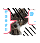 サムとやよいのまったりスタンプ（個別スタンプ：5）