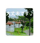 OKINAWAの景色とお花③（個別スタンプ：14）