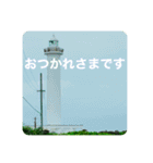OKINAWAの景色とお花③（個別スタンプ：18）