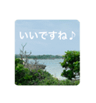 OKINAWAの景色とお花③（個別スタンプ：19）