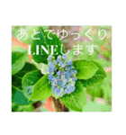 OKINAWAの景色とお花③（個別スタンプ：23）