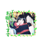 D's M（個別スタンプ：1）