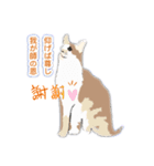 アンちゃん甘えて（個別スタンプ：2）