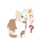 アンちゃん甘えて（個別スタンプ：3）