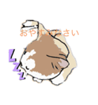 アンちゃん甘えて（個別スタンプ：5）
