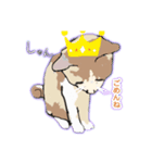 アンちゃん甘えて（個別スタンプ：6）