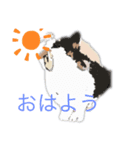 アンちゃん甘えて（個別スタンプ：7）