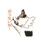 アンちゃん甘えて（個別スタンプ：8）