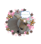 かわいいすぎるワンコスタンプ（個別スタンプ：2）