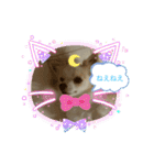 かわいいすぎるワンコスタンプ（個別スタンプ：11）