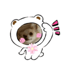 かわいいすぎるワンコスタンプ（個別スタンプ：14）